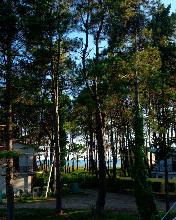Вилла Restcoast Шекветили Экстерьер фото